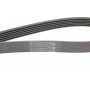 Ремінь генератора Skoda Octavia 1.4/1.6 96-10/BMW 5 (E60)/7 (E65/E66/E67)/X5 (E53) 4.4/4.8 01-09