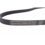 Ремінь генератора Hyundai Santa Fe/Sonata 01-06/Kia Sorento 02-/Toyota Avensis/Corolla 97-07/Renault