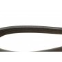 Ремінь генератора Citroen Jumper/Peugeot Boxer 3.0HDI (6PK1165)