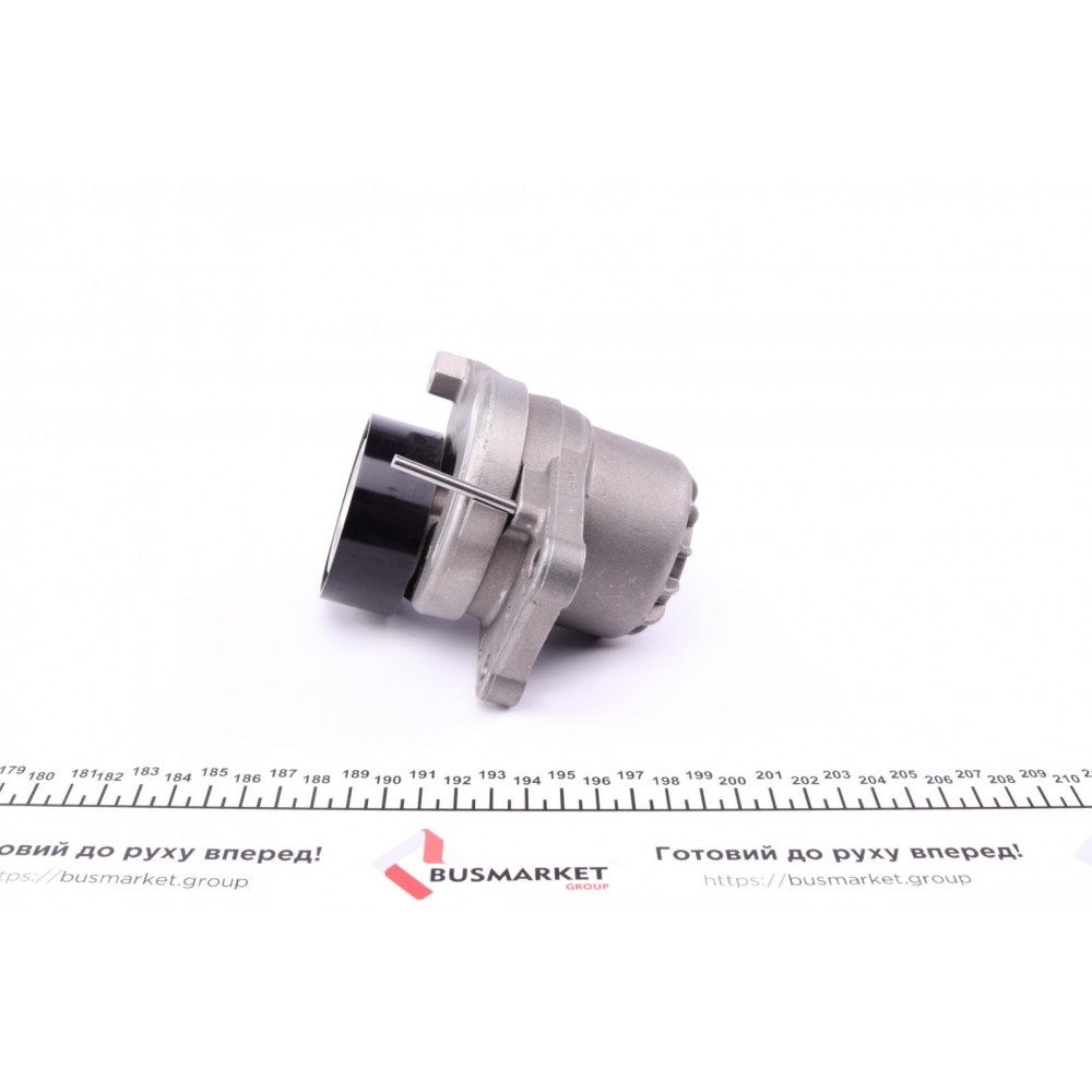 Ролик генератора Citroen C4/C5/Peugeot Expert 2.0HDi 09- (натяжний) (65х25)