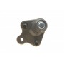 Опора кульова (передня/знизу/R) Honda CR-V 2.0/2.4/2.2D 06-12