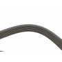 Ремінь генератора Peugeot Bipper/Expert/Partner 1.4/1.6HDI 07-/Ford Focus/Mondeo 2.0 18- (6PK1352)