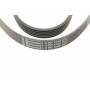 Ремінь генератора Peugeot 206/406/806/Expert/Fiat Scudo/Citroen C5/C8/Jumpy 1.9D/2.0HDI 95-
