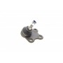 Опора кульова (передня/знизу/R) Audi A1 10-/Seat Ibiza 02-15/Skoda Fabia 99-14/Rapid 12-/VW Polo 01