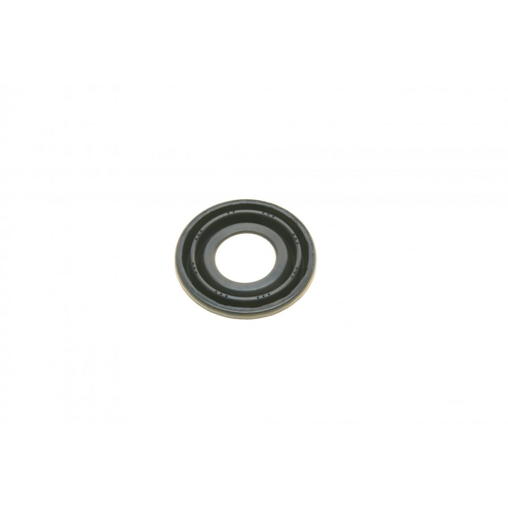Ремкомплект супорта (заднього) Fiat Stilo 01-10 (d=38mm) (+поршень) (Bosch)