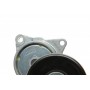 Натяжник ременя генератора Nissan X-Trail 2.0/2.5 01-13 /Renault Koleos 2.5 08-