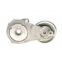 Натяжник ременя генератора Nissan X-Trail/Qashqai/Renault Clio/Fluence/Laguna III 2.0 16 V 07-