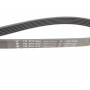 Ремінь генератора Ford Mondeo IV 2.0TDCI 07-15/Volvo S80/V70 2.0D/TDi 07-15 (6PK1845)