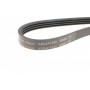 Ремінь генератора Renault Clio/Kangoo 1.4i/1.6 98-03/ Toyota Land Cruiser 4.2 98-07