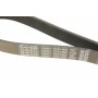 Ремінь генератора Ford Scorpio II/Toyota Camry 2.4i/3.5i 94-