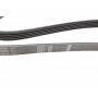 Ремінь генератора Volvo S40/V40 98-04 (5PK1325)