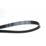 Ремінь генератора Fiat Fiorino 1.4/1.6i 93-01/ Suzuki Liana 1.3-1.6 02-/ Mitsubishi Galant 2.0 96-04