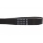 Ремінь генератора Citroen Jumper/Peugeot Boxer 2.0 94-/VW Caddy 1.4 04- (6PK1100)