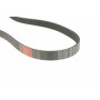 Ремінь генератора Ford Focus/Mazda 3/5/Volvo S40/V50/C30 1.8-2.4 03-