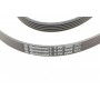 Ремінь генератора BMW 3 (E46)/5 (E39)/7 (E38)/X5 (E53) 3.0D 98-05 (5PK2060)