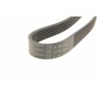 Ремінь генератора MB W202/210 M112/113 97- (WP,PS) (6PK2315)