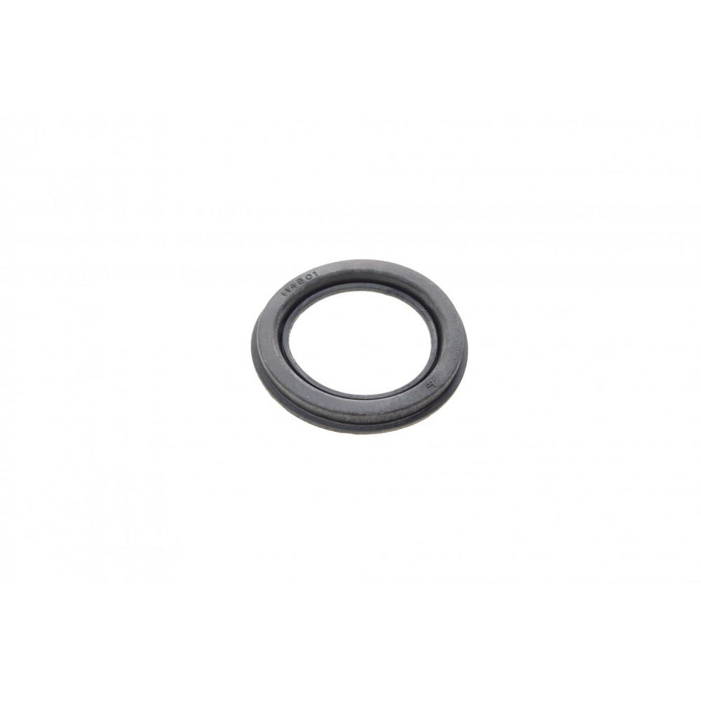 Ремкомплект супорта (переднього) Saab 99 72-84 (d=48mm)