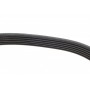 Ремінь генератора BMW X5/Ford Focus 1.4/1.6 16V 98-