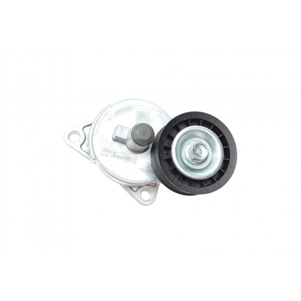 Натяжник ременя генератора Ford Transit Connect 1.8 16V 02-13