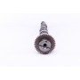 Розподільний вал VW Caddy III/IV/ T5/T6/ Crafter 30-50 2.0 TDI 10- (сторона впуска) (чавунний)