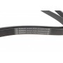 Ремінь генератора Hyundai Santa Fe/Kia Magentis 05-/Lexus GS 5.0 14-/MB (W202/W210) 93-02 (6PK2055)