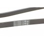 Ремінь генератора BMW 3 (E46)/5 (E39)/7 (E38)/X5 (E53) 3.0D 98-05 (5PK2060)