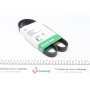 Ремінь генератора VW Golf V/VI/Passat VI/VII/Skoda Fabia 1.4TSI/FSI/1.6 FSI 97-