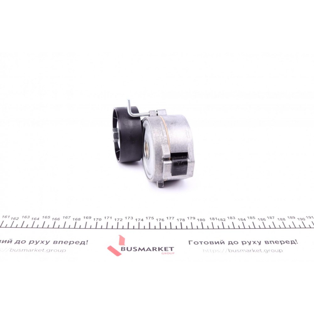 Натяжник ременя генератора Ford Mondeo IV/Peugeot 407 2.0TDCi/2.2 HDi 06-