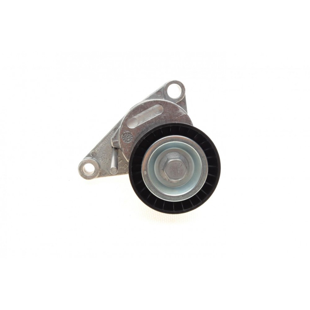 Натяжник ременя генератора Citroen C2/C3/C4/Peugeot 207/307 1.1-1.6 00-