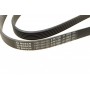 Ремінь генератора Ford Focus 1.8 TDCi 05-12/Skoda Octavia 1.4 i 99-01 (6PK1520)