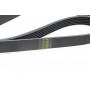 Ремінь генератора Fiat Scudo 1.9D 98-06/Audi A6 2.8 94-97 (6PK1675)