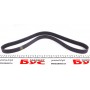Ремінь генератора VW Caddy III/Golf V/Passat 1.9D/TD/Fiat Doblo 1.9D (6PK1050)