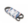 Ремінь генератора Renault Kangoo 1.4/1.6i 97- (5PK1750)