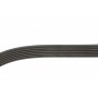 Ремінь генератора Jeep Cherokee/Liberty 2.5CRD/2.8 CRD 01-
