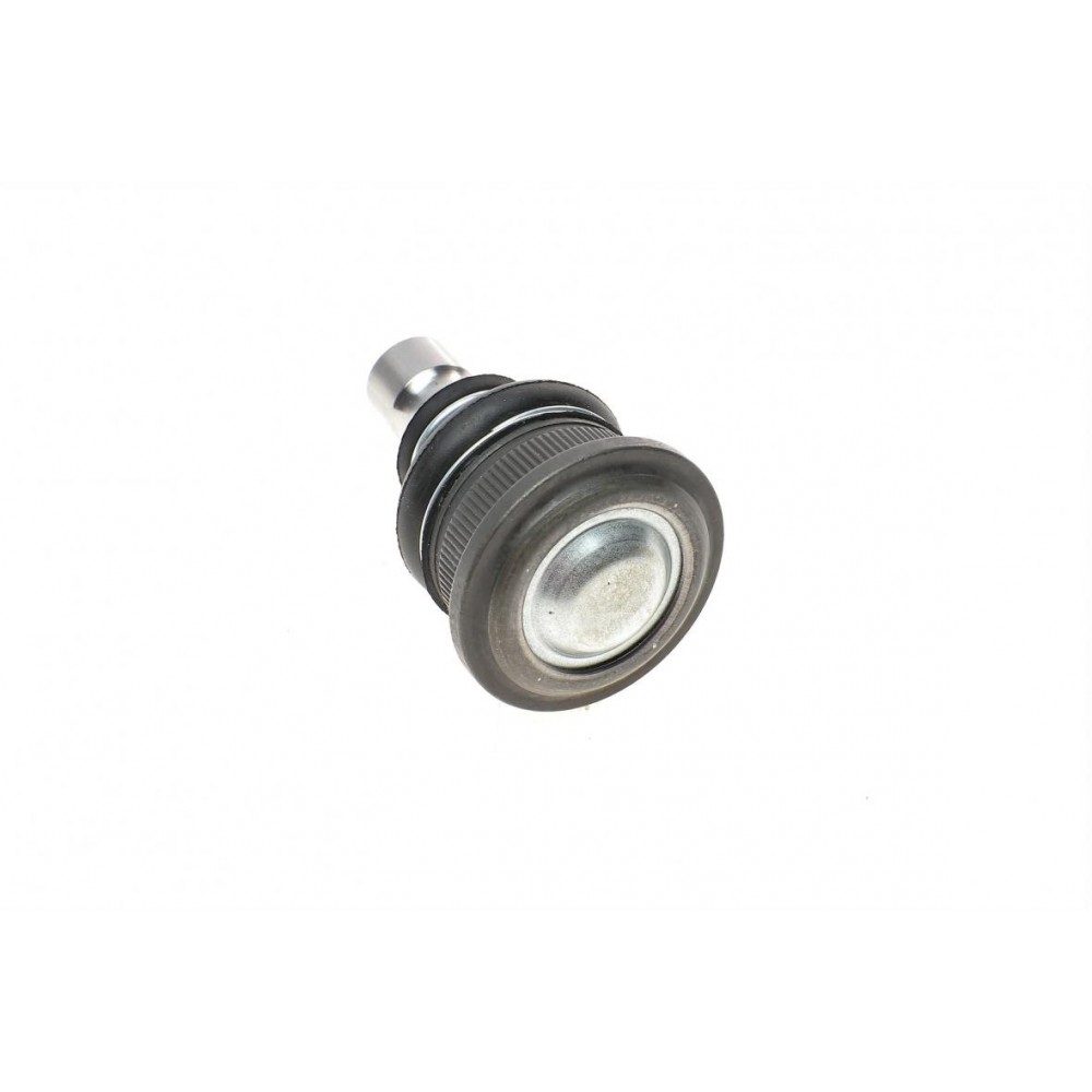 Опора кульова (передня/знизу) Renault Megane II/Scenic 02- (d=16mm)