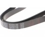 Ремінь генератора Fiat Doblo 1.3D Multijet/ Ducato 2.0JTD 01-/ VW Caddy/ Ford Fiesta 1.25-1.6 95-