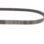 Ремінь генератора VW Crafter 2.0TDI 11-16/Golf 1.4/1.6 97-05/Audi A1/A2/A4 1.4-2.0 01-18