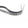 Ремінь генератора Citroen Nemo/Fiat Fiorino/Peugeot 206 1.4/1.8 03- (6PK1225)