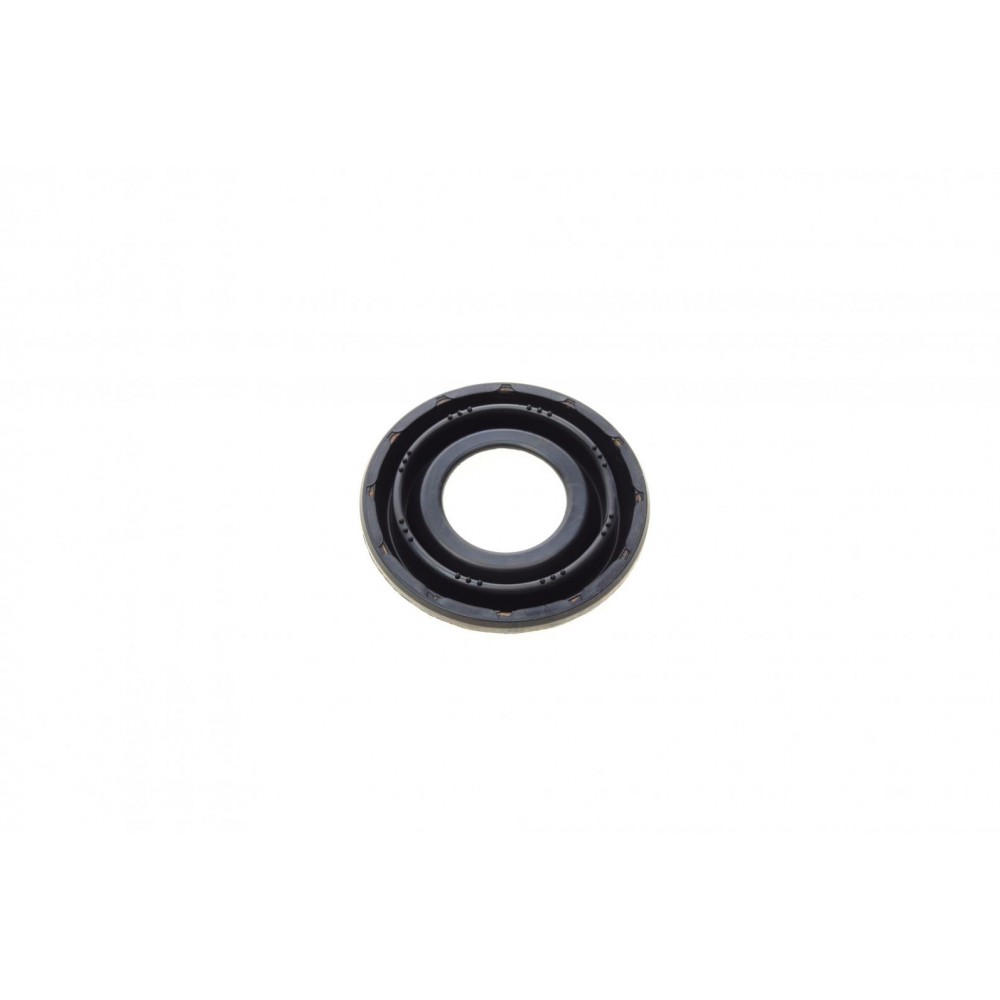 Ремкомплект супорта (заднього) Ford Mondeo 2.0DI 00-07 (d=38mm) (Bosch) (+поршень/направляюча)