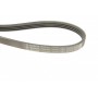 Ремінь генератора Fiat Brava 95-01/Peugeot 205/305 83-89/Renault Espace/Laguna 3.0 96-01 (4PK962)