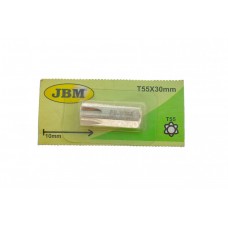 Біта Torx TP (M10xT55mm)