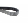Ремінь генератора BMW M3 (E90) 07-13/Peugeot 306 1.8-2.0 94-01/Citroen Xsara 1.8i 98-00