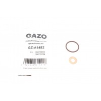 Прокладки форсунки BMW 5 (E39)/X5 (E53) 98-03 (M57) (к-кт)