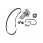 Комплект ГРМ + помпа Ford Mondeo/Focus 1.4/1.6i 03-12/Mazda 2 1.25-1.6 03-07 (22x117z)
