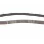 Ремінь генератора Citroen Berlingo 1.1-1.4 96-/ Subaru Forester/ Impreza/ Legacy 1.6-2.5 92-09
