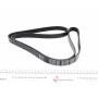 Ремінь генератора MB G-class (W461) M102 89-00 (6PK1856)