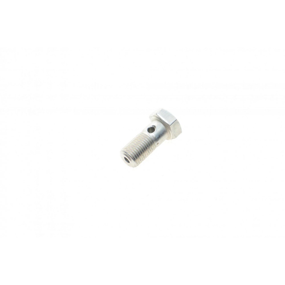 Болт Banjo (банжо) M10x1mm (14x27.1)