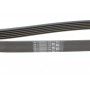 Ремінь генератора Citroen Berlingo/Jumpy/Fiat Scudo/Peugeot Partner 1.9D 98-/Hyundai Accent 02-05