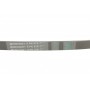 Ремінь генератора Peugeot Partner/307/508 02-/Citroen Berlingo/C2/C3/C4/C5 1.6 HDi 04-
