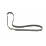 Ремінь генератора Renault Mascott 99-05/Iveco Daily 99-06/Mazda 323 89-96/MX-3 93-98 (4PK1015)